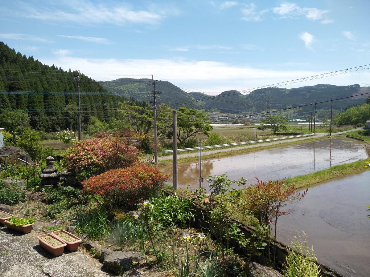 Cocochi House Guest House Yufu Exterior photo